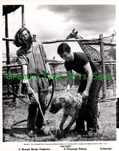 HATARI 1962