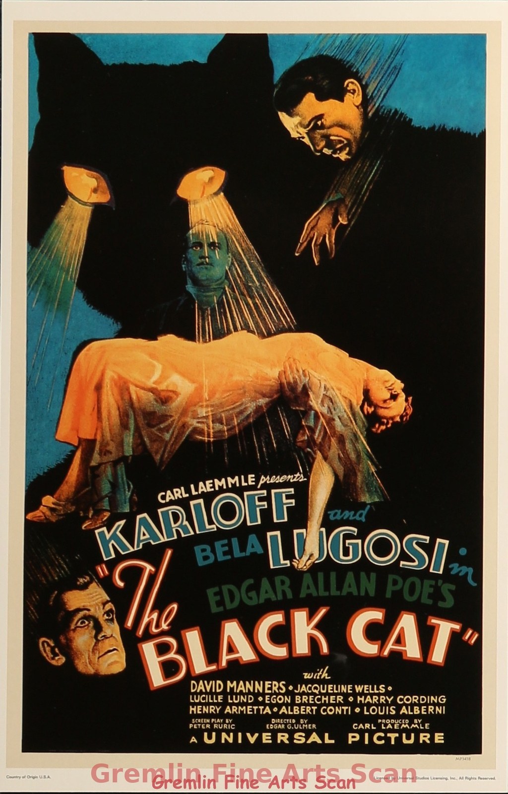 BLACK CAT, THE 2001