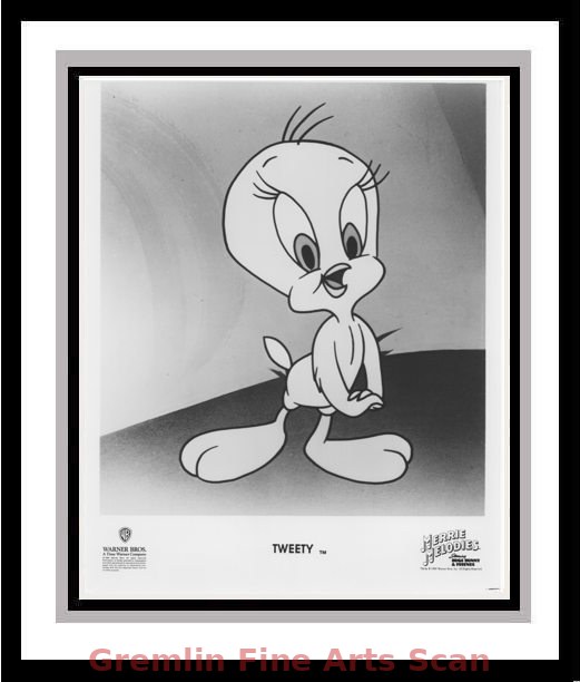 Tweety  PS809a