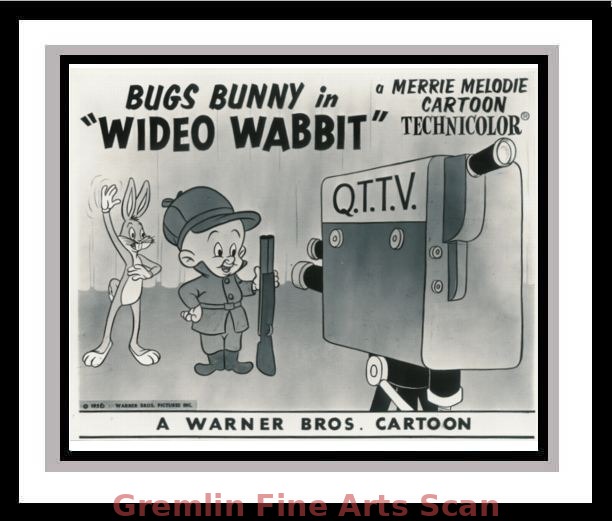 Wideo Wabbit PS212